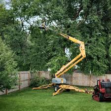 Best Storm Damage Tree Cleanup  in Lakeshire, MO